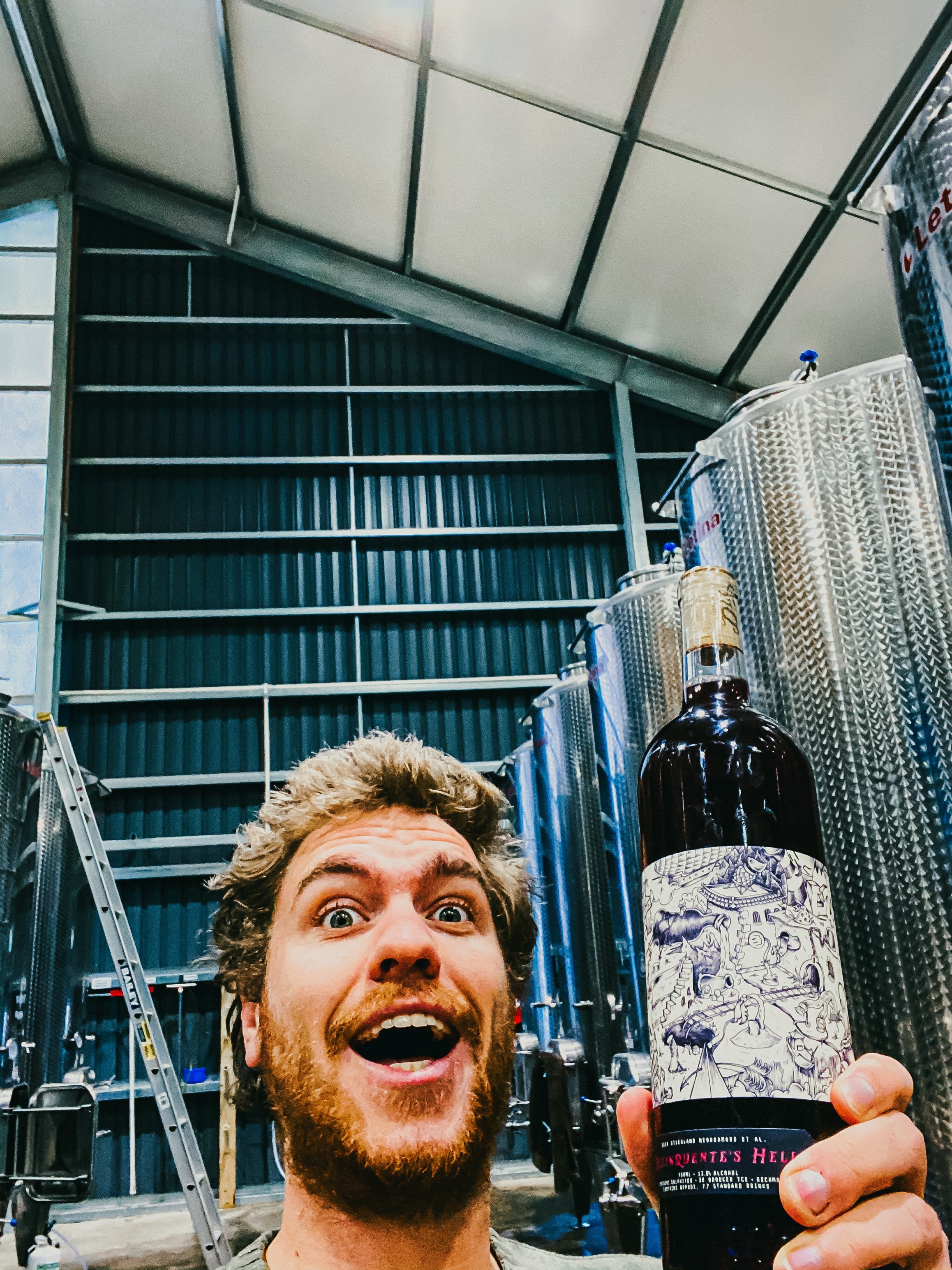 Blog & Vlog-Friday Fluff #13-Unico Zelo-Blog-Vlog-Wine