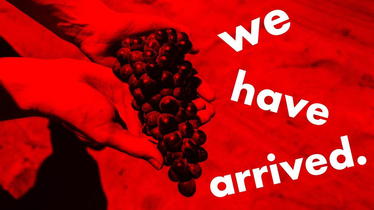 Enter The Blogosphere!-Unico Zelo