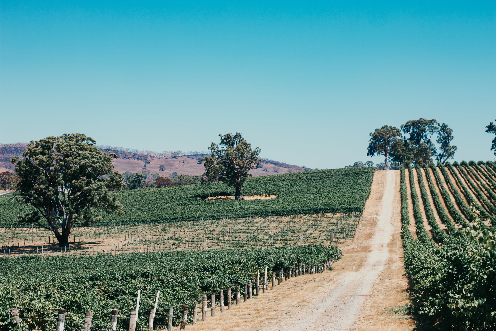 The Unico Guide to the Adelaide Hills