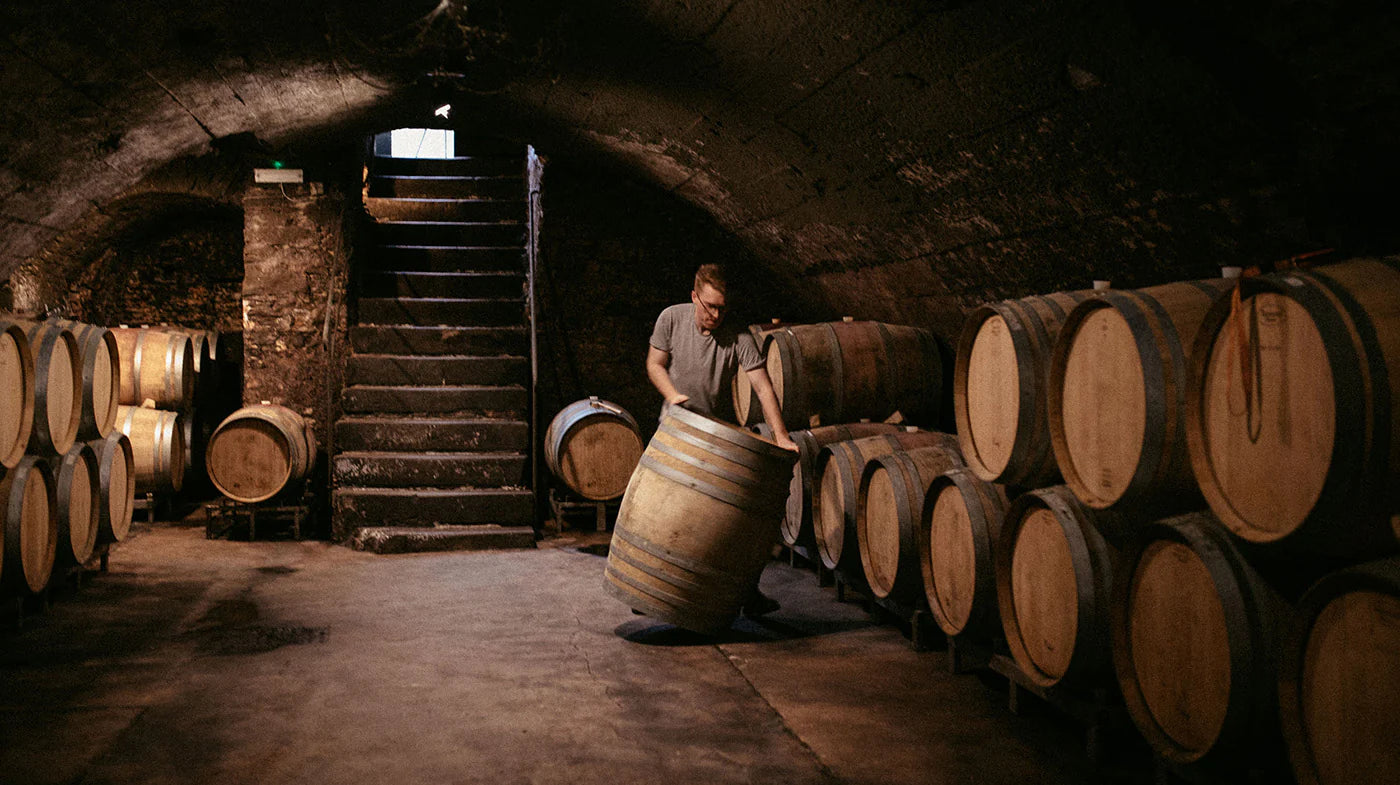 Daniel Fries Terrassen Pinot Noir