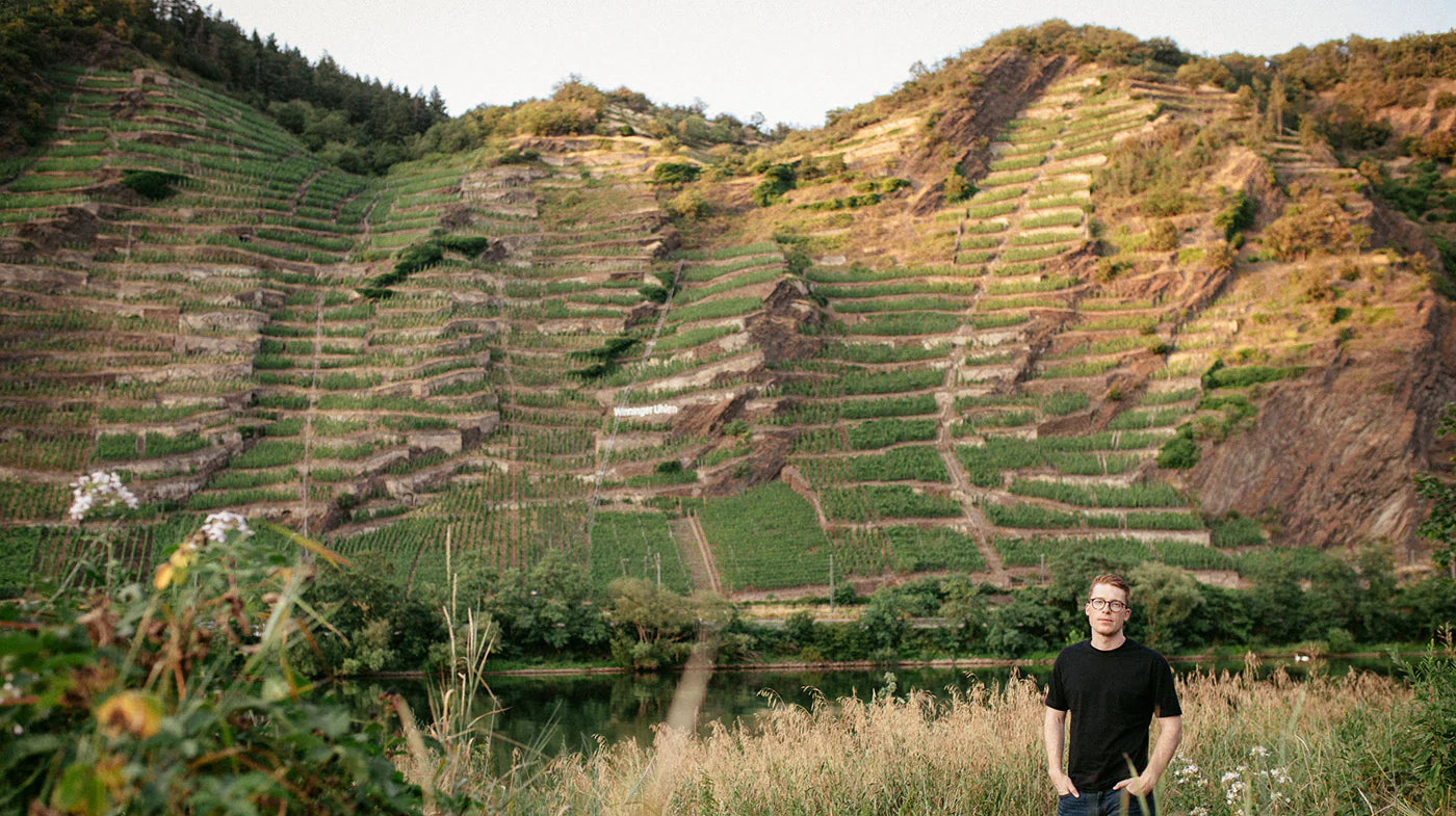 Daniel Fries Terrassen Pinot Noir