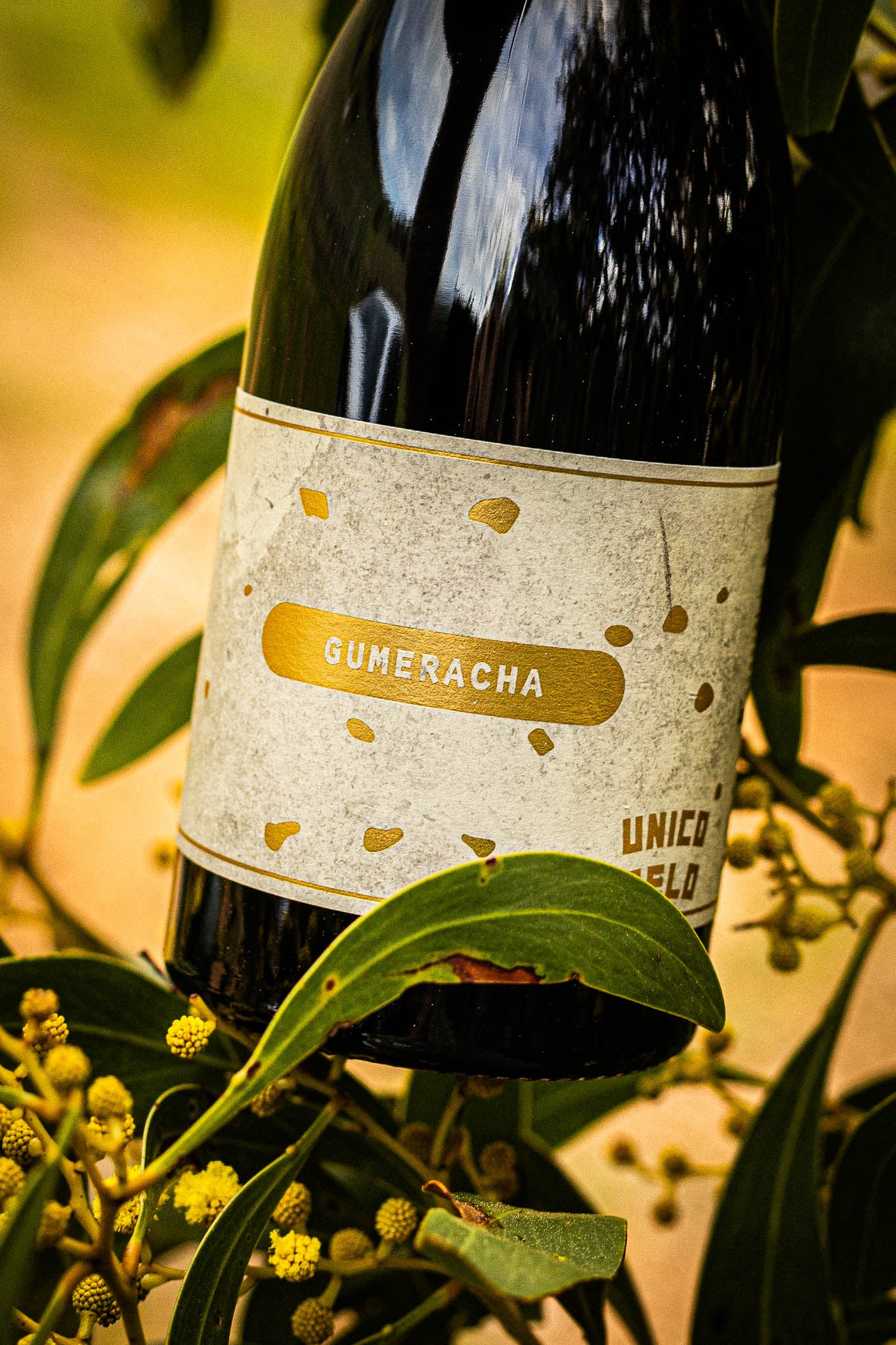 Gumeracha Nebbiolo